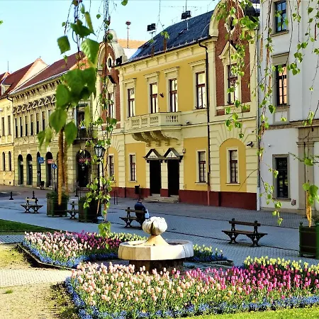 Fortuna Apartman Studio * Eger